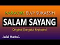 Download Lagu SALAM SAYANG, KARAOKE DANGDUT ELVY SUKAESIH