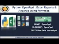 Python Excel Automation Analysis Creating Reports Analyzing Data Using Formulas with Openpyxl-4
