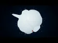 Why We Can't Truly Explore the Antarctic Desert