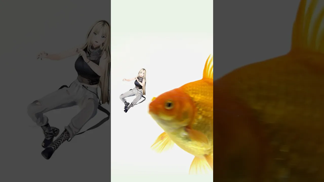 ニコたんは金魚の餌じゃないよ〜　#虎のいる生活