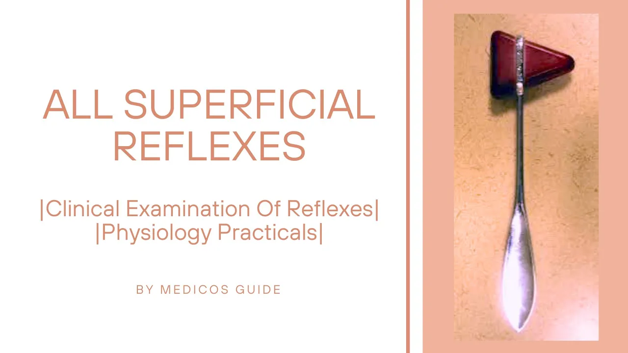Clinical Examination of All Superficial Reflexes #reflexes #reflex