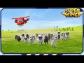 Download Lagu [SUPERWINGS Best] Het veld, de lucht en de vleugels | Beste Compilatie EP23 | Super Wings