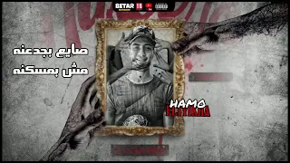  صايع بجدعنه م بمسكنه  حمو اطيخا توزيع كيمو الديب حالات وتس دندنها