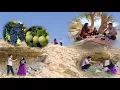 Download Lagu An amazing day for Farideh and Ali Asghar in the beautiful mountains to find mountain fruit