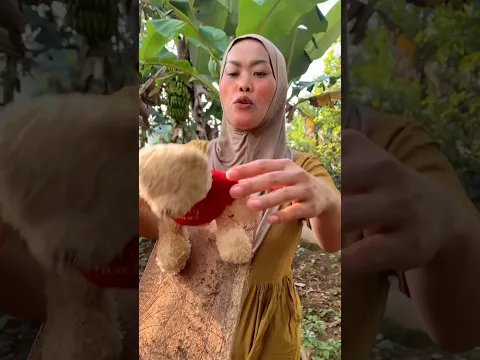 Boneka meluncur