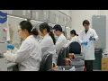 UTSW Postdoctoral Scholars Program