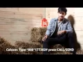 Download Lagu ST12 - Putih Putih Melati (Promo MV).mp3