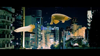 Download 04 Limited Sazabys「Re-swim」(Official Music Video) MP3