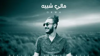 عروة   مالي شبيه                                              دندنها