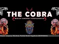 Download Lagu LDR - The Cobra Jandhut (Cover) Formasi lengkaapp....