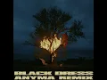 Black Dress (Anyma Remix) - 070 Shake & Anyma