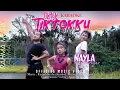Download Lagu Karaoke tiktok tiktok ku -nayla Boru Regar -tapsel madina terbaru