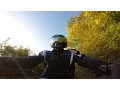 Download Lagu Picture quality from the go pro HERO. And a pheasant!