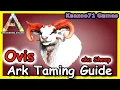 How to Tame an Ovis Sheep In Ark Ark Survival Evolved