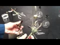Lab with Many Flasks 2016