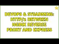 DevOps SysAdmins between Nginx reverse proxy and Express