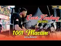 Lagu COVER KENDANG CAK FARIZ - 1001 MACAM - GERRY MAHESA - MAHESA MUSIC ft DHEHAN PRO - CB PEKALONGAN