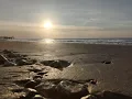 Download Lagu Suasana Pantai Pasir Putih