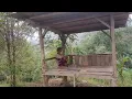 Download Lagu santai sambil lihat kebun dan sekeliling