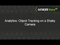 CATHEXISVision Analytics Object Tracking on a Shaky Camera
