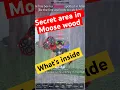Download Lagu Secret areas in moosewood #roblox #music #ratdance #fisch #robloxfisch ￼