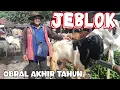 Lagu JEBLOK‼️HARGA KAMBING HARI INI DIPASAR GONDANG LEGI MALANG JATIM