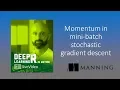Deep Learning with R in Motion momentum with mini-batch stochastic gradient descent