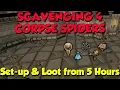 Scavenging 4 at Corpse Spiders Runescape 3 Loot from 5 Hours Set-up