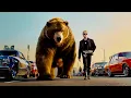 Download Lagu The Offspring - Truth in Fiction (Official Music Video)