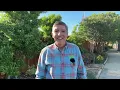Should You Seed Your North Texas Lawn Expert Advice from Village Green