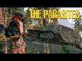 Download Lagu The Parasites | Atmospheric Open World Survival with Huge Potencial (No Commentary Demo Gameplay)
