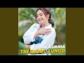 Download Lagu Tresnomu Lungo (Live)