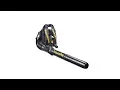 Poulan Pro PR46BT 46-cc 2-cycle 220-MPH 490-CFM Gas Backpack Leaf Blower