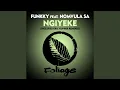 Download Lagu Ngiyeke (Eric Kupper Remix)