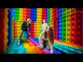 Download Lagu Попали в КОМНАТУ из попЫтов! POP IT \u0026 SIMPLE DIMPLE!