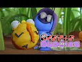 Download Lagu BEETLE BUDDIES in Bed Bug Stories... and more! 🐛🐞 New Cartoons Every Week 😍 | Cartoons for Kids