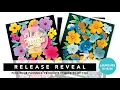 Your First Look Pick Your Pairings Products Requested by YOU