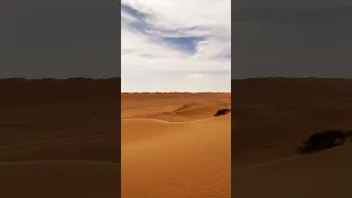 يا ما علي شانك نويت المطاريش البر الشاص سجه الجيب 