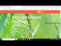 Rice Leaf Disease Prediction Using Machine Learning Python Final Year IEEE Project