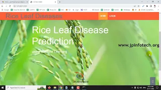 Rice Leaf Disease Prediction Using Machine Learning Python Final Year IEEE Project