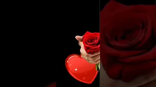 حالات واتساب حالات واتساب البيضاء صنعاء صعده ذمار مارب تعز حضرموت تسجيل دخول فخم ترند 