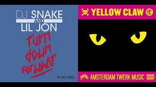 Download DJ Snake, Yellow Claw, Spanker - Turn Down for What Vs. Slow Down (Simøn Mashup) MP3