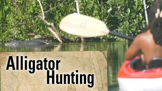 Filming Alligators in my Favorite Florida River