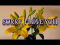 Download Lagu Sorry, I Love You - Stray Kids (English Lyrics)