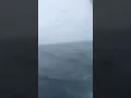 Buzzard bay ground fishing bad weather