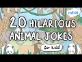 Funny Animal Jokes for Kids Classroom Brain Break Activities Twinkl USA