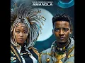 Download Lagu Sun-EL Musician x Msaki - Amandla (Official Audio)
