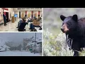 AROUND WYOMING Car Crash Highway Closure and Hunting Survey