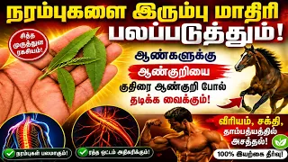 இந்த இலையில் எத்தனை ரகசியம் அடங்கியுள்ளதா // Village Tips YouTube channel