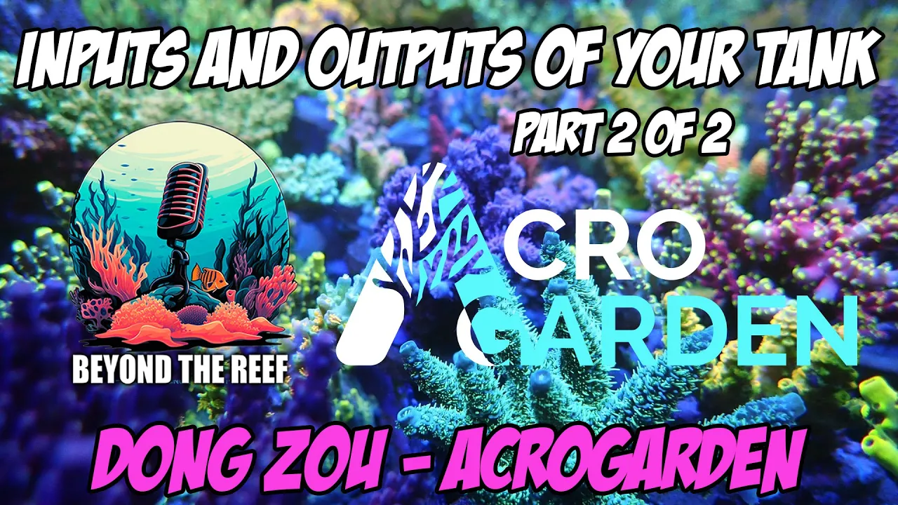 Episode 37: Inputs & Outputs Of Your Reef Tank: Dong Zou - AcroGarden (pt 2)